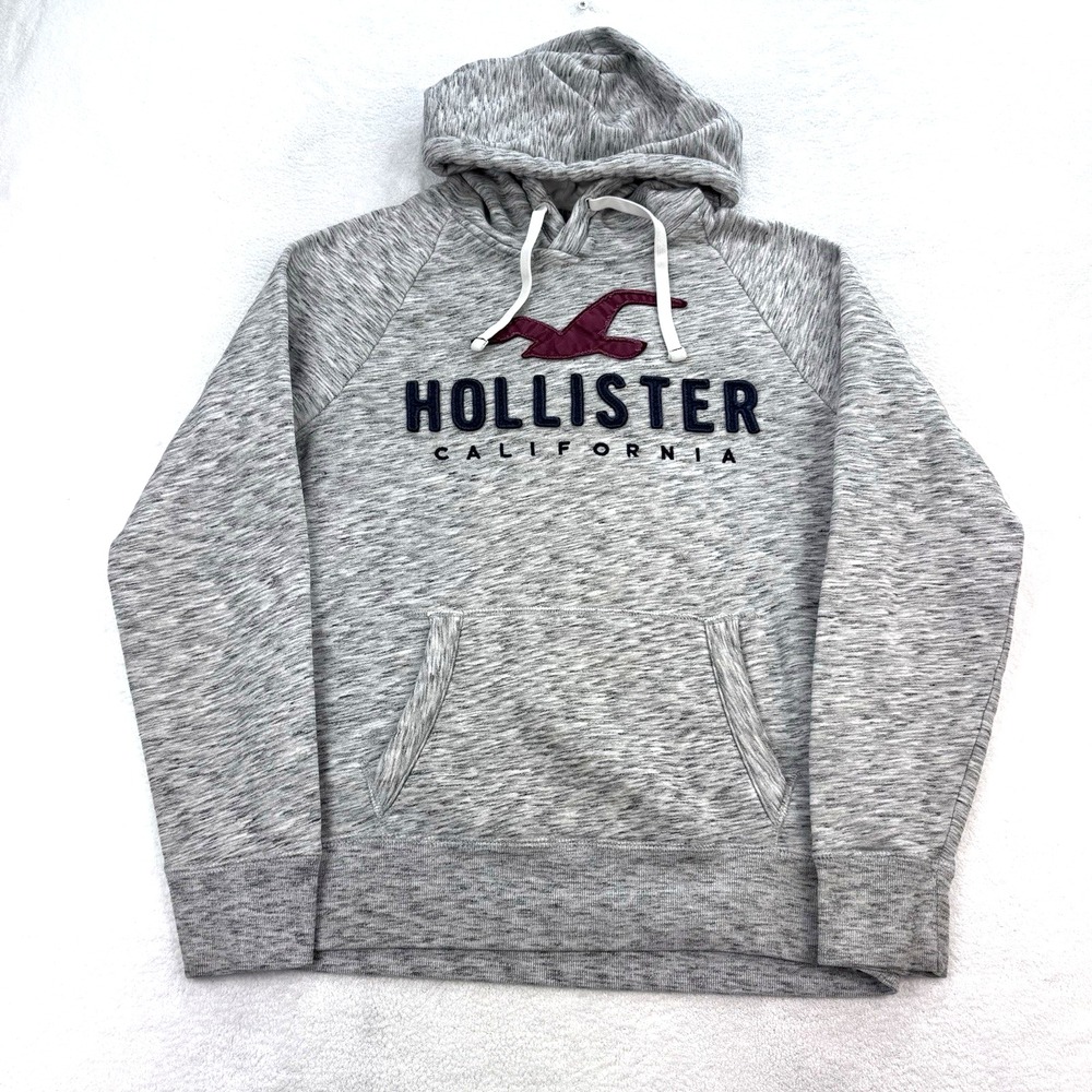 Vtg Hollister Hoodie Pullover M Surfer Embroidered Y2K California Outdoor